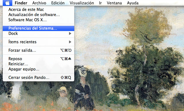 Cambiar los DNS por los de Google - 1