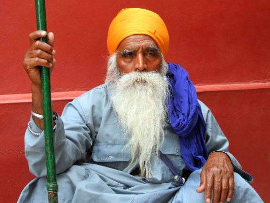Guru Guru